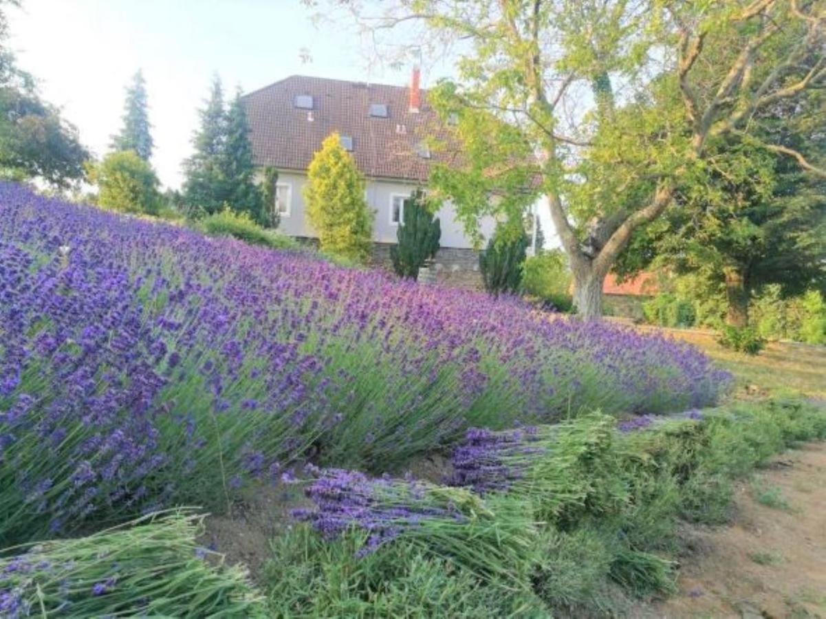 Badacsonytördemic Villa Izabella المظهر الخارجي الصورة